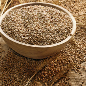 Wheat Bran