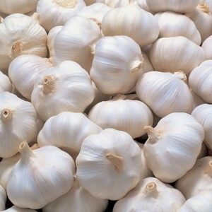 Fresh Garlic