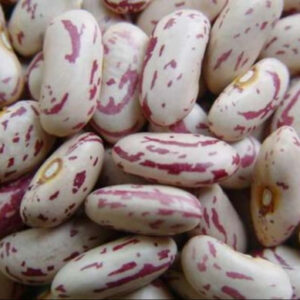 Sugar Beans