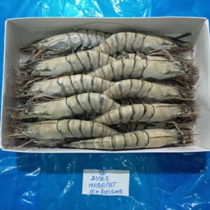 Frozen Shrimps