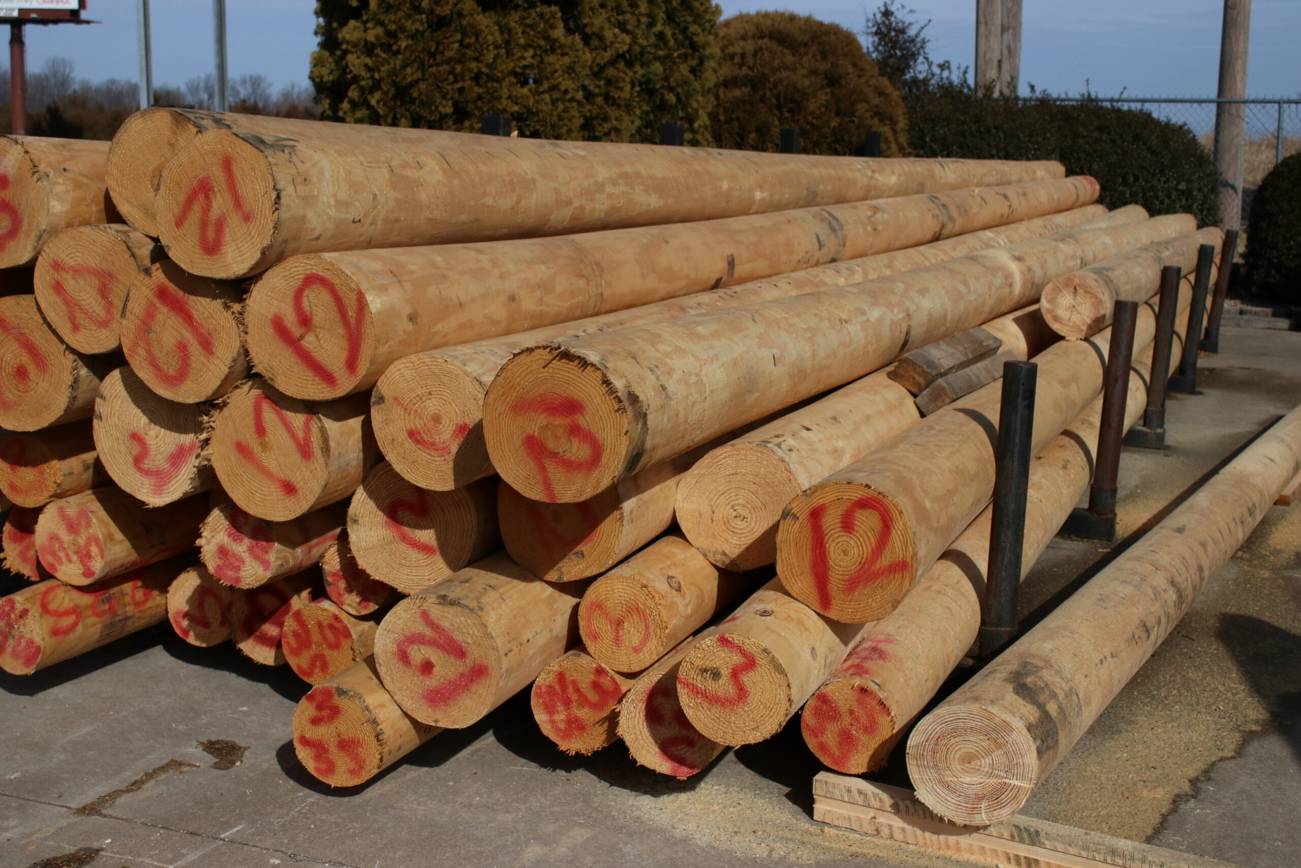 Logs-and-Log-Railing-Peeled-Logs-2