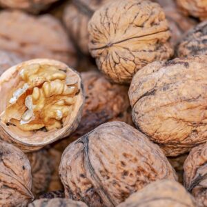 Walnut