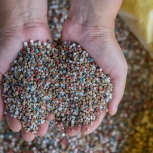 NPK Fertilizer